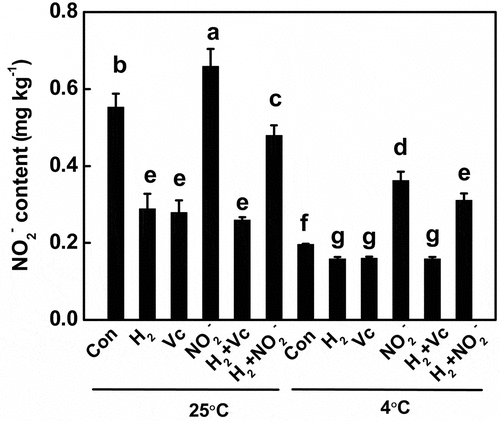 Figure 6. Nitrite accumulation was prevented by vitamin C (Vc) and H2 but increased by exogenously applied sodium nitrite (NO2−) at 25°C and 4°C, during storage of tomato fruit for 12 d. Different letters denote significant difference at P < .05 according to Duncan’s multiple tests