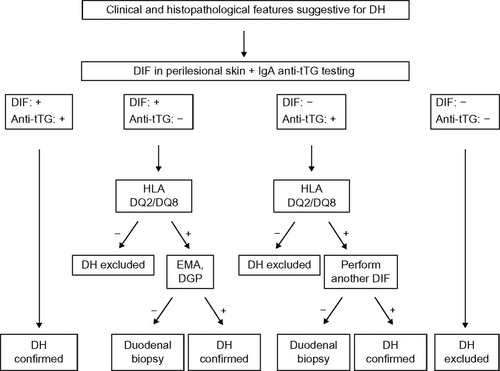 Figure 1 Diagnostic algorithm for patients with dermatitis herpetiformis.