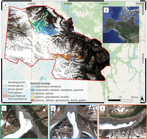 Figure 1. (a) Overview map of the study area. Source: Open Street Map, Mosaic of Sentinel-2 satellite images acquired between 23 July and 31 August 2021 at 50-m resolution, coordinate system WGS 84/UTM zone 8 N, glacier outlines as of 2010 (GLIMS Consortium Citation2005), and bedrock geology (Yukon Geological Survey Citation2022). (b) Location of study area on the border of Yukon and Alaska. Source: Google Maps. Close-up of sampling areas at (c) Donjek glacier, (d) Kluane glacier, and (e) Dusty glacier at scale 1:50,000. Source: Sentinel-2 satellite images from August 2021 at 10-m resolution, glacier outline as of 2010 (GLIMS Consortium Citation2005).