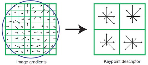 Figure 3. SIFT Descriptor.