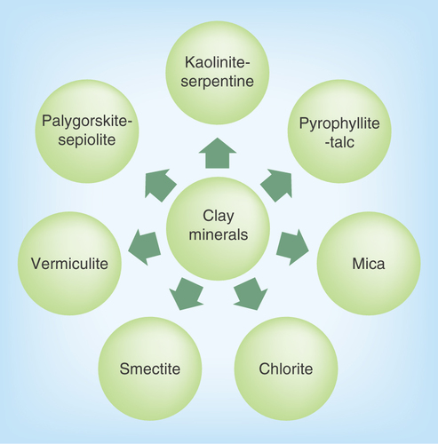 Figure 2.  Classification of clay minerals.