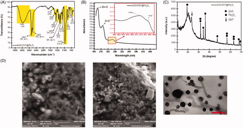 Figure 1. Characteristic of ZnO/CNT@Fe3O4 nanofluid product. (A) FTIR spectrum of ZnO/CNT@Fe3O4 nanocomposite. (B) ZnO/CNT@Fe3O4 exhibited high absorption peaks at 190 and 204 nm wavelengths and a few low ladder shaped peaks in UV visible. (C) XRD analysis confirmed the structural characteristics of ZnO/CNT@Fe3O4. (D) Scanning electron microscopy (SEM) and transmission electron microscopy (TEM) of the nanoparticle. SEM illustrated the morphology of the ZnO/CNT@Fe3O4 nanocomposites in nano-product. Spherical fine Q-dot ZnO NPs and Fe3O4 NPs are combined together with CNT NPs. The results of TEM also validated the small size of this nanocomposite at 75 nm.