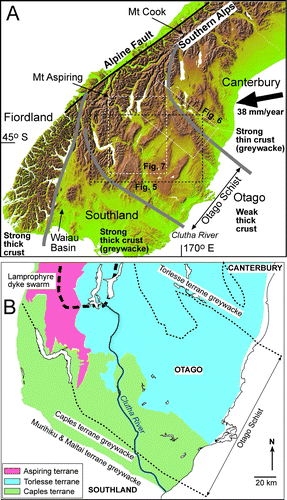 Figure 1  A, DEM image(used with permission of www.geographx.co.nz) of the southern South Island showing the underlying crustal blocks and their relative crustal strengths. B, Geological terrane map of southern South Island (partly after Mortimer Citation1993; Turnbull Citation2000; Forsyth Citation2001) showing sources of principal rock types relevant to sediment provenance during evolution of the Clutha catchment. Dotted lines show margins of schist belt. Heavy dashed line shows the southern portion of the Miocene lamprophyre dyke swarm (after Cooper et al. Citation1987). The present Clutha River main stem is shown in blue.