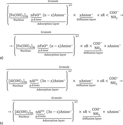 Figure 2. The formation of organic/inorganic solid complexes with the aid of a) ferric (III) and b) aluminium coagulants.