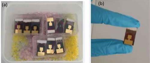 Figure 11. Sputtered gold contacts on perovskite solar cells.