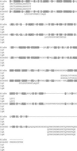 Figure 1. Alignment of the acidic subunits of two glycinin proteins, A1aBx and A5A4B3. Conserved amino acids are highlighted. Epitopes that bind IgY, IgA and/or IgM in at least three eggs are shown.