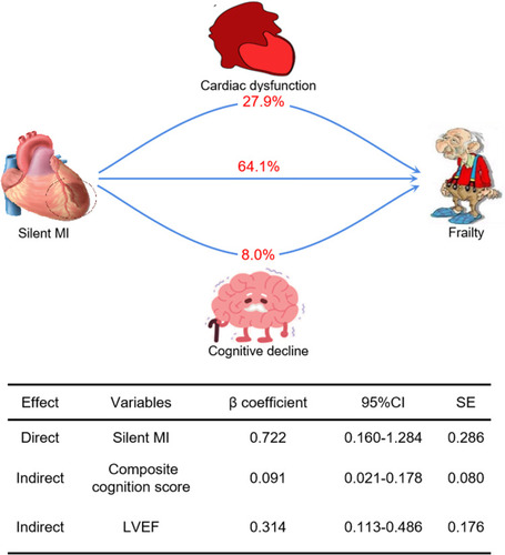 Figure 3 Direct and indirect effects of silent MI on frailty. β coefficient was calculated by standard regression equation. Composite cognition score was calculated by mean of Digit Symbol Substitution Test Z score, Word Fluency Test Z score, and Delayed Word Recall Z score.