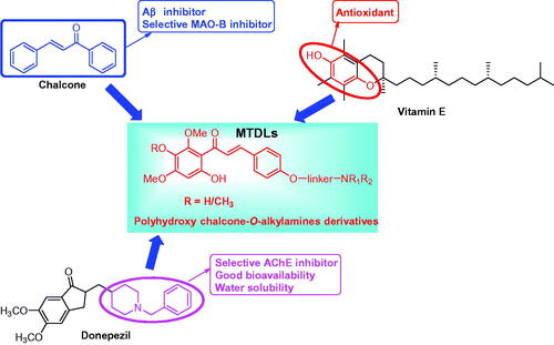 Figure 1. Design strategy for chalcone-Vitamin E-donepezil hybrids.