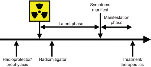 Figure 2. Terminology of therapeutic approaches in relation to radiation exposure is shown. Radioprotectors are administered before exposure and radiation mitigators are administered after radiation exposure during the prodromal/latent phase. Radiation therapeutics or treatments are given after symptoms manifest.