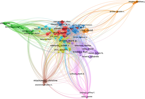 Figure 4 The co-occurrence network of authors on pain associated with anxiety or depression.