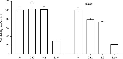 Figure 1. Cytotoxic effect of PBA 0.1, 1.0 and 10 mg/ml (0.82, 8.2 and 82 mM) on mammary adenocarcinoma 4T1 and squamous cell carcinoma SCCVII. Cells survival rate measured by crystal violet assay. Absorbance at 590 nm is proportional to the number of surviving cells. Each experiment was done in quadruplicate. Inhibition of cell growth I (%) relative to controls was calculated according to the formula: I = (C − T)/C × 100, where T denotes the mean absorbance of treated cells, and C indicates the mean absorbance of untreated cells, without the addition of PBA.