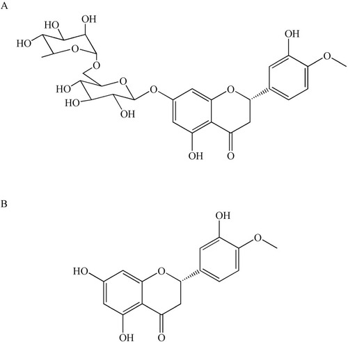 Figure 1 Chemical structures of hesperidin (A) and hesperetin (B).