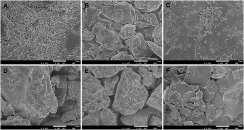 Figure 8 SEM photomicrographs of Dio (A), Soluplus (B), PM-1:10 (C), Dio-C-ASD (D), Dio-M-ASD (E) and Dio-F-ASD (F).