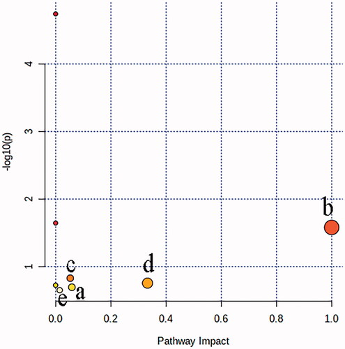 Figure 5. The result of metabolic pathway analysis of potential biomarkers of liver injury: (a) Steroid biosynthesis; (b) Linoleic acid metabolism; (c) Porphyrin and chlorophyll metabolism; (d) Arachidonic acid metabolism; (e) Fatty acid biosynthesis.