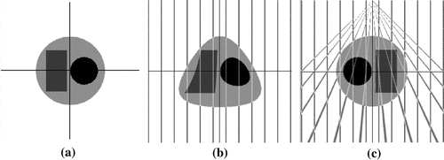 Figure 2. (a) original phantom, Nx=Ny=256; (b) deformed phantom, β=180∘,D=1.5; (c) inverse deformation of (b).