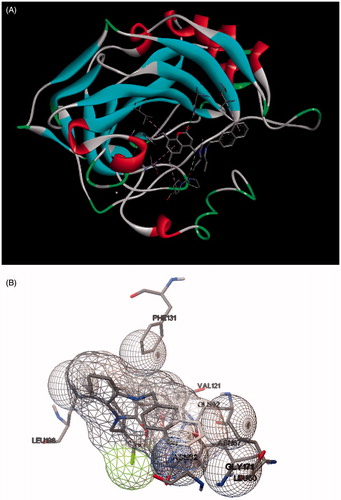 Figure 2. Docking of compound 1i within the hCA II active site. (A) Discovery Studio 4.0 Client images and (B) ADT images.