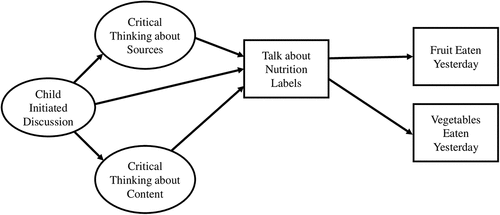 Figure 1. The basic hypothesized youth process model. Not shown, but included in the model, were age and pretest levels of each construct and measure.