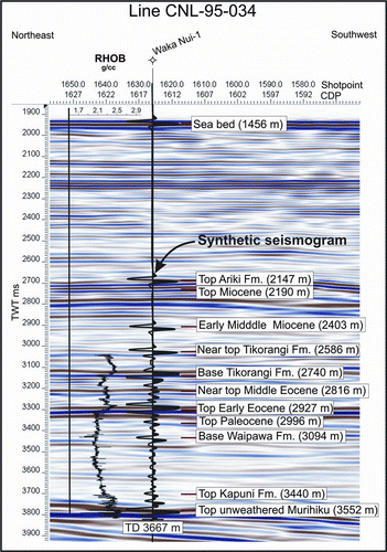 Figure 4  Seismic data from line CNL95-034 at the Waka Nui-1 well with overlays showing the density log (RHOB converted to TWT-left of well), a synthetic seismogram (overlaid on the well) and depths of formations (to the right of well).