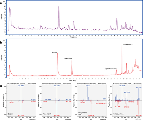 Figure 2 Chemical analysis of CGGD. (a) a total ion chromatogram of CGGD. (b) the extracted ion chromatogram of mixed standards: baicalin, wogonoside, glycyrrhizinic acid and saikosaponin A. (c) a mirror plot of CGGD’s chemical components. In the mirror plots, measured peaks in CGGD and reference peaks of authentic standard compounds were compared using MS/MS spectroscopy.