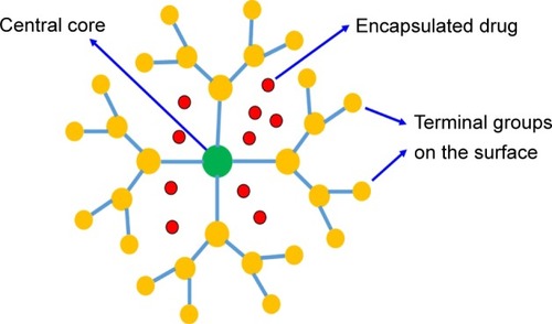 Figure 3 Structure of dendrimers.