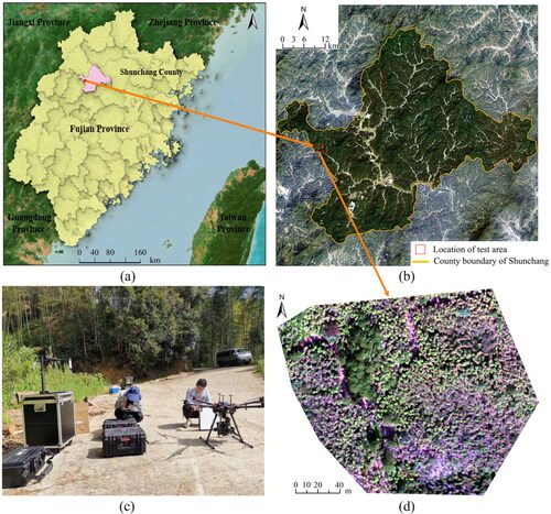 Figure 1. Test area and field investigation: (a) Geographical location of Shunchang County; (b) Satellite image of Shunchang County; (c) UAV field investigation; (d) UAV hyperspectral image of the test area.