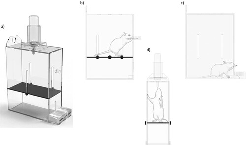 Figure 5. Motor laterality testing apparatus by combining the Pasta Matrix Reaching Test (Ballermann et al., Citation2001), the Collins Paw Preference Test (Collins, Citation1968; Citation1969; Citation1975), and the Head-Turning Asymmetry Test (Soyman et al., Citation2018) for rats (a), a rat performing the Collins Paw Preference Test (b), a rat performing the Pasta Matrix Reaching Test (c), and a rat performing the Head-Turning Asymmetry Test (d).