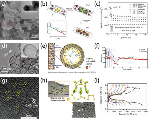 Figure 4. (a) SEM and TEM images of S/(CNT@MPC). (b) Diagram of the mechanism during discharge. (c) Cycling Performance at different currents. Copyright 2013, WILEY-VCH [Citation63]. (d) TEM images of S@iMCHS. (e) Diagram of fixed elemental sulfur. (f) Rate capability. Copyright 2016, American Chemical Society [Citation64]. (g) HRTEM images of the microporous carbon. (h) Diagram of material limitation of sulfur. (i) Schematic diagram of current capacity at different currents. Copyright 2020, WILEY-VCH [Citation65].