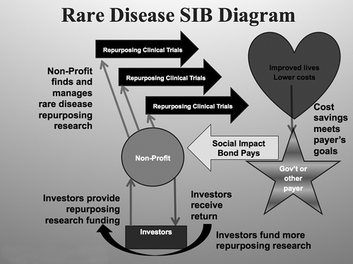 Figure 1. Possible structure of rare disease social impact bond.
