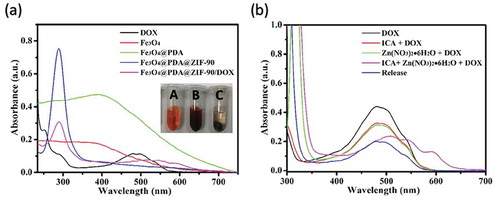 Figure 4. (a) UV-Vis absorption spectra of DOX and different nanoparticle aqueous solutions (inset: photographs of (A) DOX solution, (B) the mixture solution of DOX and Fe3O4@PDA@ZIF-90 nanoparticles, and (C) the mixture solution of DOX and Fe3O4@PDA@ZIF-90 nanoparticles after reaction for the whole day); (b) UV-Vis absorption spectra of different mixture solutions and the DOX solution after drug release from Fe3O4@PDA@ZIF-90 nanoparticles at pH 6.0.