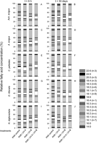 Fig. 5. Temporal variation in relative free fatty acid compositions of (A, B) Achnanthes exigua, (C, D) Amphora exigua, (E, F) Cocconeis peltoides, (G, H) Diploneis littoralis and (I, J) Navicula digitoradiata at PAR, PAR+UV-A, PAR+UV-B and PAR+UV-A+UV-B, during 6-h (A, C, E, G, I) and 30-day (B, D, F, H, J) experiments.