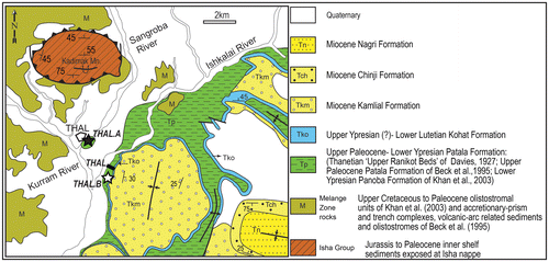 Figure 2. Simplified geological map of Thal area in western Kohat Plateau, N Pakistan and locations of THAL Section and spot samples THAL.A & B (black and white stars, respectively). Geological map is simplified from Khan et al. (Citation2003).