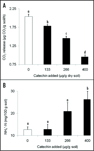Figure 2 (A) Mean (+SE) CO2 release (µg CO2 released/g soil/h) from soil treated with 0, 133, 266 or 400 µg catechin/g soil. Results from Inderjit et al.Citation9 indicated that these application rates produced detectable concentrations of roughly 0, >1, 1–5 and 1–40 µg catechin/g soil. (B) Mean (+SE) total organic N (mg/100 g dry soil) of soil treated with 0, 133, 266 or 400 µg catechin/g soil. Shared letters indicate no significant differences among treatments and control as determined by one-way ANOVA with treatment as fixed variable, and post ANOVA Tukey test (p < 0.05).