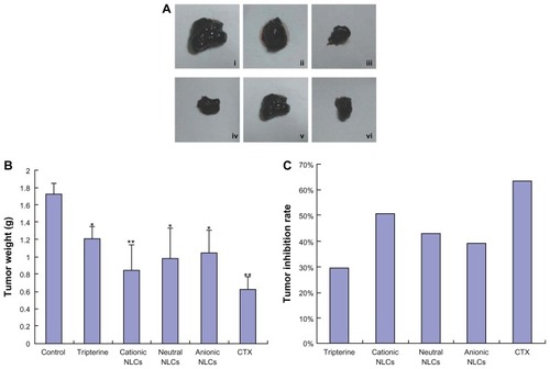 Figure 6 Effects of the surface-charged tripterine-loaded NLCs on tumor growth in vivo. (A) Representative images of tumors excised from C57BL/6 mice: (i) control (negative control); (ii) tripterine; (iii) cationic NLCs; (iv) neutral NLCs; (v) anionic NLCs; (vi) cyclophosphamide (CTX; 20 mg/kg intraperitoneally; positive control). In (ii–v), 6 mg/kg tripterine in 1% carbomer gel was used and the treatments were administered topically. (B) Tumor weight; (C) tumor inhibition rate after accounting for tumor weight.Notes: Data represent means ± SD (n = 3); *P < 0.05 and **P < 0.01 versus the controls.Abbreviation: NLCs, nanostructured lipid carriers.