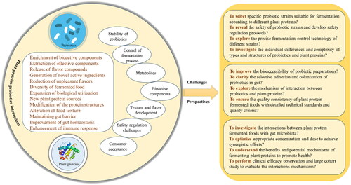 Figure 4. The research framework of the challenges and perspectives for plant proteins-probiotics interactions.