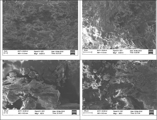 Figure 25. FESEM images of zinc-embedded 4-ASZC crystal.
