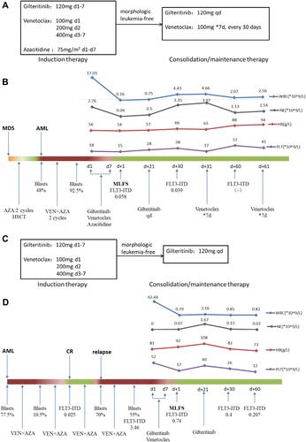 Figure 1 (A) Induction therapy and consolidation/maintenance therapy in Patient 1. (B) Treatment process of patient 1. (C) Induction therapy and consolidation/maintenance therapy in Patient 2. (D) Treatment process of Patient 2. *The dose of venetoclax was adjusted because of posaconazole treatment.