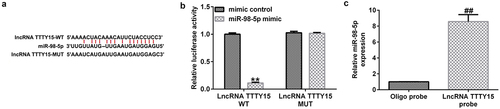 Figure 1. lncRNA TTTY15 sponges miR-98-5p in gastric cancer.