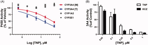 Figure 2. The selective inhibitory effect of TNP on CYP3A4. (A) Screening the activities of human microsomal CYP450 isoforms. The CYP450 metabolic capacities were measured by LC-MS/MS and isoform-specific substrates (phenacetin for CYP1A2, chlorzoxazone for 2E1, midazolam [M] for 3A4, and testosterone [T] for 3A4). (B) In vitro analysis of recombinant microsomal CYP3A4 against TNP or ketoconazole (KCZ) treatment with designated concentrations on graphs. Values in all graphs are presented as mean ± SEM.
