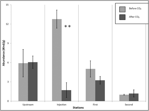 Figure 2. Leaf pack sample macroinvertebrate abundance at each sampling station before and after acidification (*p < 0.05; **p < 0.005).