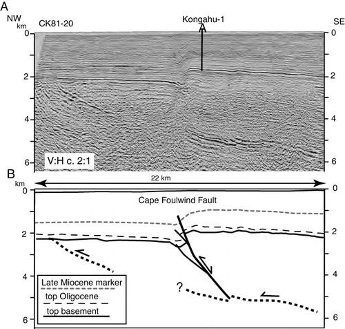Figure 4 A, Reproduction of part of the seismic line CK81-20 (processed and depth-converted by Cultus Pacific, Geophysical Service Incorporated, Citation1981), available from http://www.nzpam.govt.nz. The trace of this line is shown in Fig. 2. B, Geological interpretation of the seismic line, showing the relationships between the Cape Foulwind Fault (inverted as a reverse fault) and a low-angle intra-basement reflection tentatively interpreted as a reverse shear zone. Similar geometries can be identified in other subparallel lines of the same survey CK81.