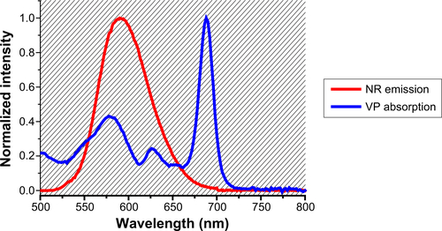 Figure S2 Absorption and emission spectra of VP and NR, respectively.Notes: Normalized absorption spectrum of verteporfin (VP) and emission spectrum of Nile red (NR; λexc =480 nm) coloaded in Pluronic® P123/F127 mixed micelles dispersed in phosphate-buffered saline at pH 7.4 and 37°C. VP =4 μg·mL−1 and NR =0.8 μg·mL−1. The shaded area represents the overlap of the evaluated spectra.
