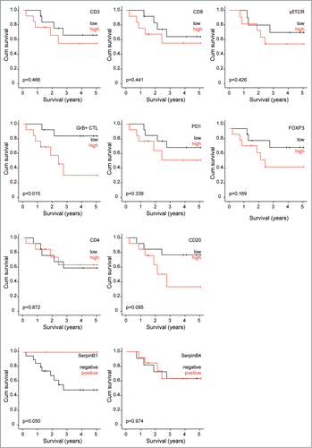 Figure 3. TILs and survival of pediatric medulloblastoma patients. Survival analysis of pediatric medulloblastoma patients stratified for amount of TILs. High and low number of TILs was determined by median split.
