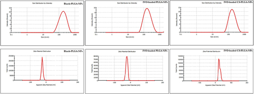 Figure 1 Dynamic Scattering Light (DLS) particle size and zeta potential measurements of Blank-PLGA-NPs, IVO-PLGA-NPs and IVO-CS-PLGA-NPs.