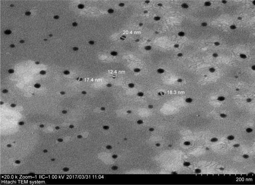 Figure 11 Transmission electronic microscopy image of nanoemulsion containing 0.05 wt% of ceramide IIIB.Note: Magnification 20,000×.