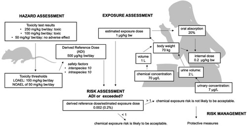 Figure 3. Overview of the chronic health risk assessment of dietary exposures to glyphosate – switching from biomonitoring to risk assessment. Considering that the high-end of glyphosate urinary levels resulting from environmental exposures is approximately 7 μg/L (Gillezeau et al. Citation2019), it can be estimated that environmental exposures to glyphosate result in an internal dose of 0.2 µg/kg/bw and an external dose of 1 µg/kg/bw. Glyphosate concentrations cannot be considered as environmentally relevant if they are far higher than these doses, except in the case of relatively high applicator or occupational exposures.