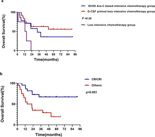 Figure 3. Kaplan–Meier curves for overall survival of the 42 patients underwent allo-HSCT according to (a) reinduction regimen and (b) disease status after salvage treatment.