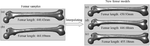 Figure 9. Generating new femur models. New models (c)–(e) were created through linear interpolation between two arbitrary samples (a) and (b) by the ratio of 5:5, 7:3 and 3:7, respectively.