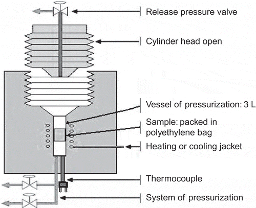 Figure 1. Schematic diagram of high hydrostatic pressure treatment systems.Figura 1. Diagrama esquemático de sistemas de tratamiento con alta presión hidrostática.