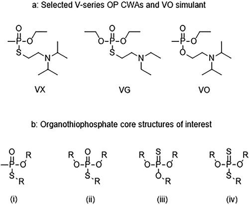 Figure 1. (a) Structure of the V-series chemical warfare agents VX and VG (Amiton) and the V-series supramolecular simulant VO. (b) The core structures of the organothiophosphate compounds of interest where (i) phosphonothiolate, (ii) phosphorothiolate, (iii) phosphorothionate, and (iv) phosphorothiolothionate.