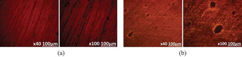 Figure 3. Optical microscopic images of (a) MS surface before corrosion test and (b) MS surface after corrosion in artificial seawater at 0% CGN